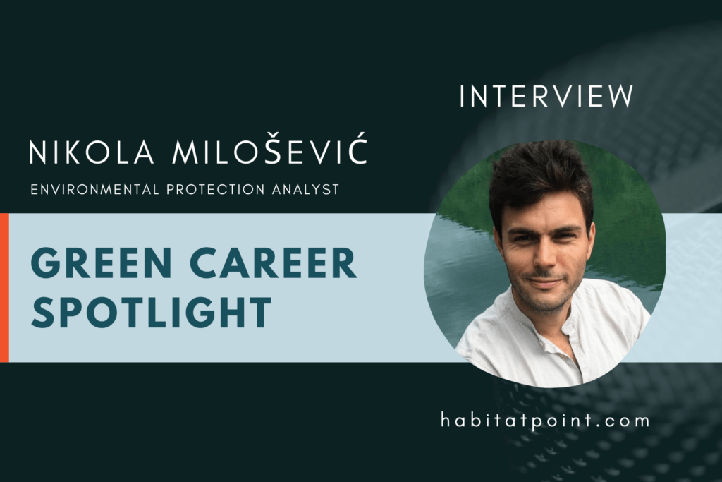 Nikola green career interview