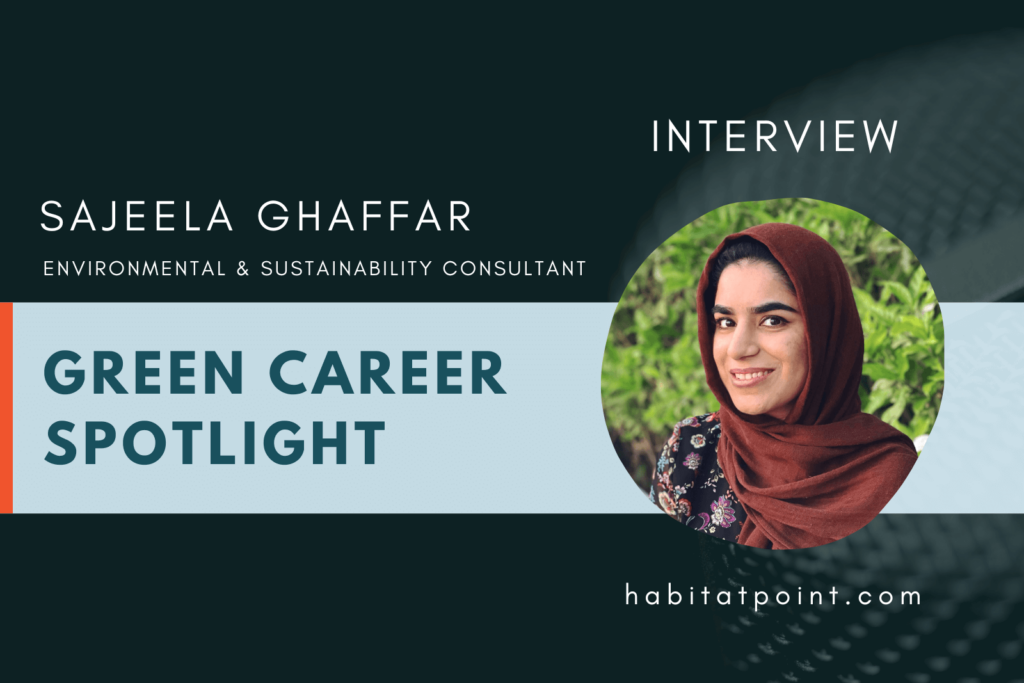 Sajeela interview green career cover